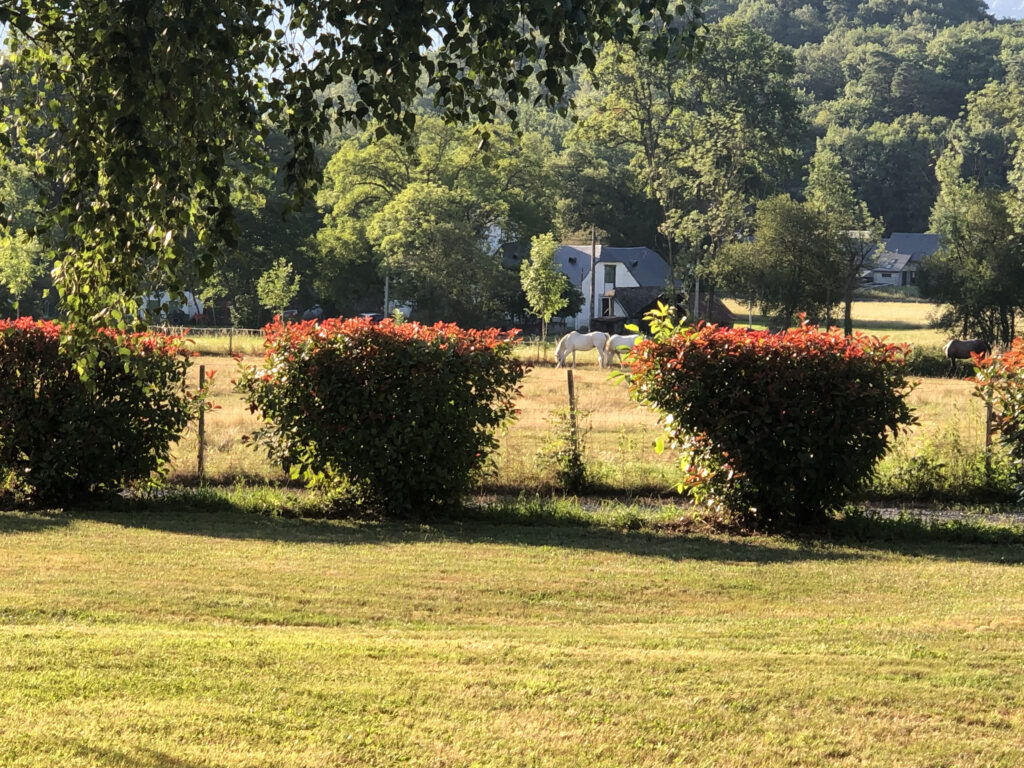 Parc de 3000m² avec mobilier extérieur - location Vallée des Gaves